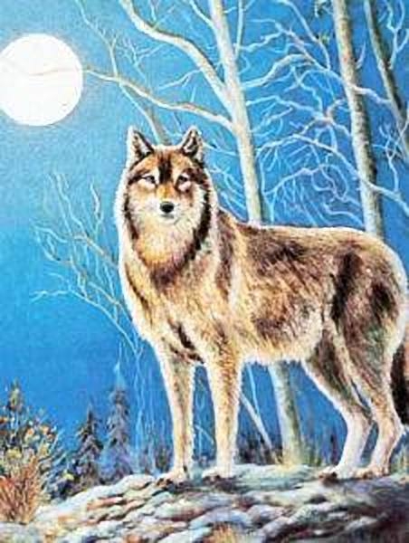 Poster Einsamer Wolf