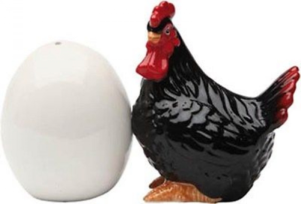 Salz und Pfefferstreuer Huhn und Ei