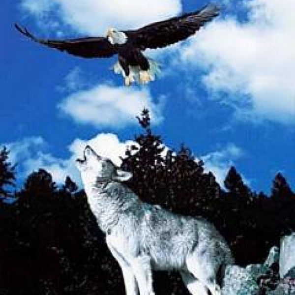 Poster Wolf und Adler