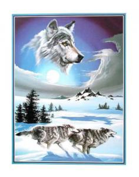 Poster Wölfe im Schnee