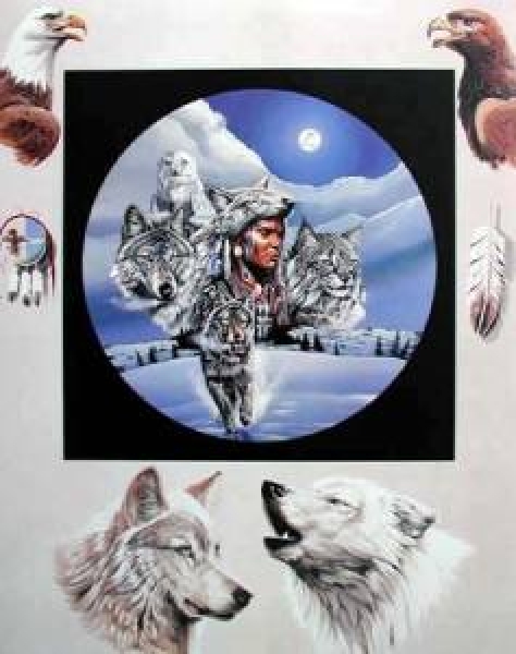 Indianer Poster Moonlit Warrior