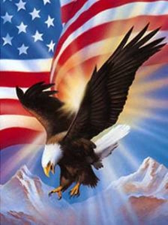 Poster Weißkopfadler mit USA Flagge